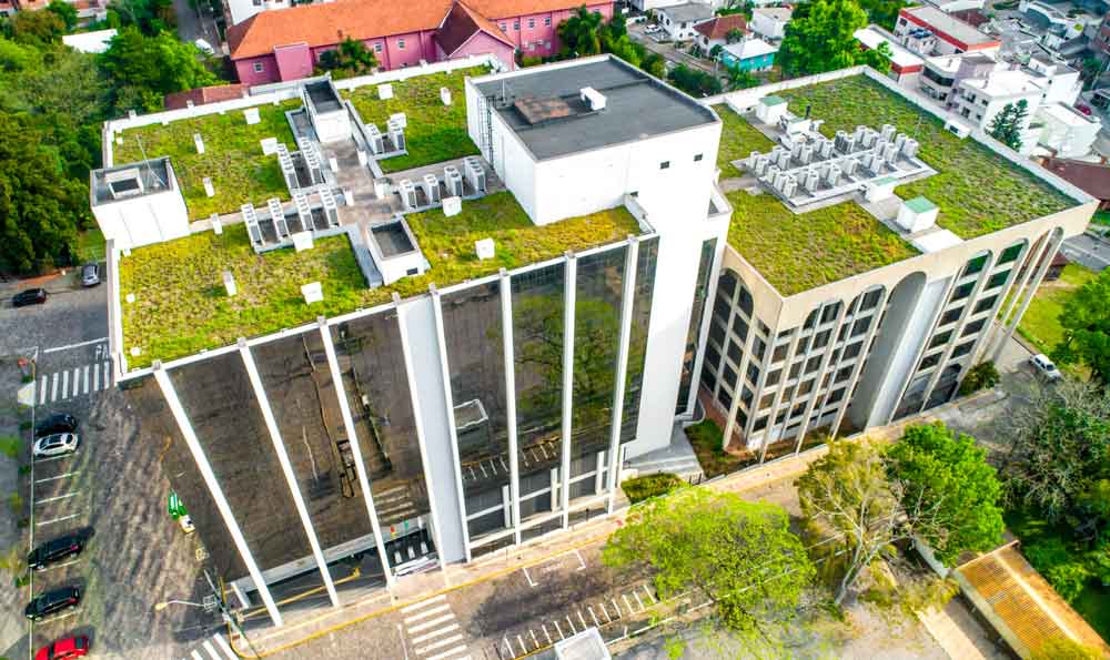 Commercial Green ECO Roof 