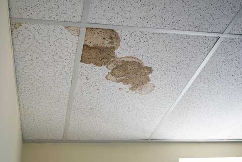 Roof Leak Ceiling Tile Stain